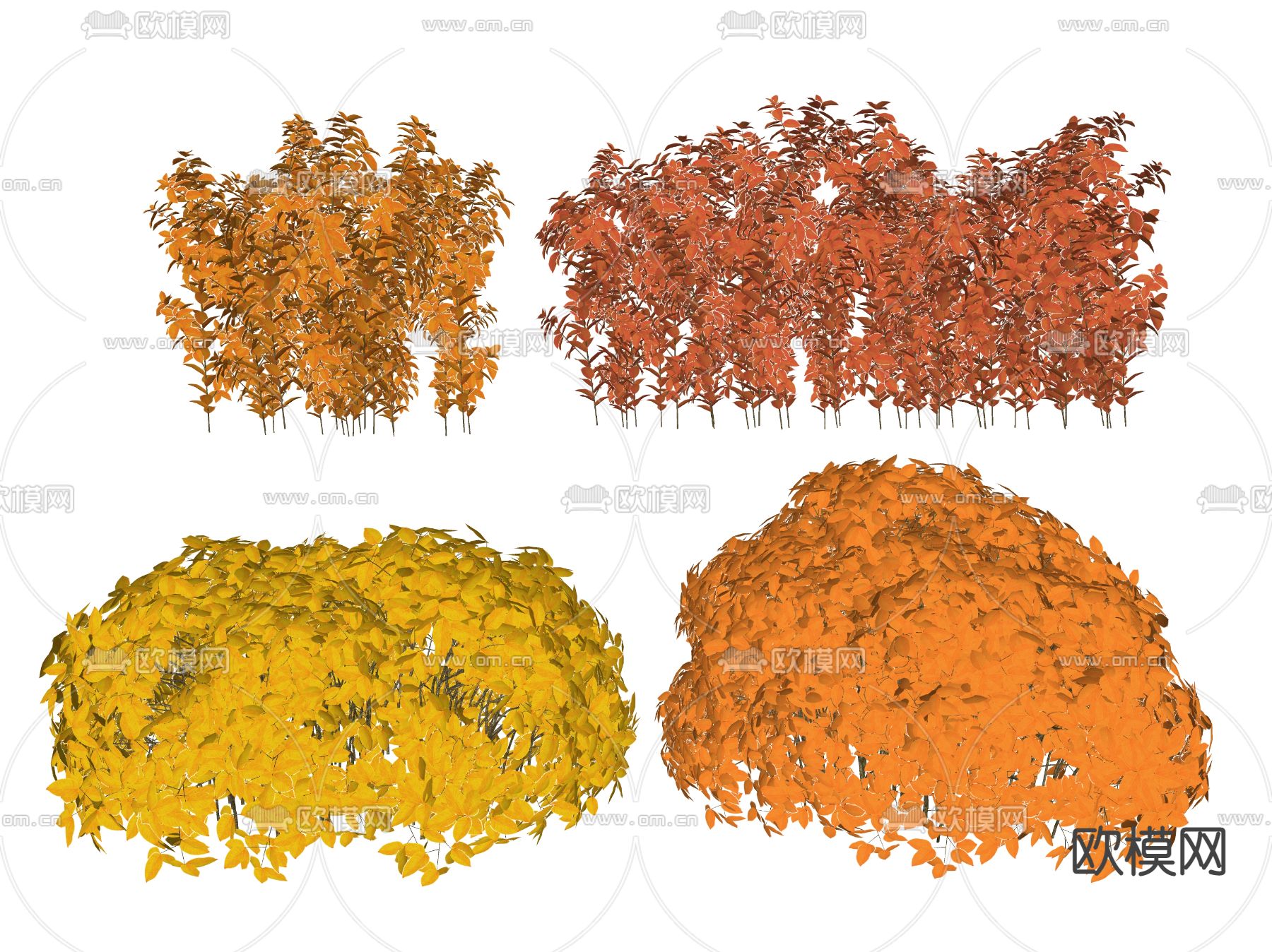 现代灌木su模型下载（渲染图2）
