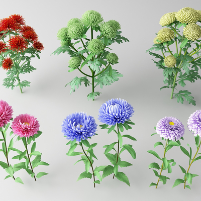  现代花草 野花su模型 