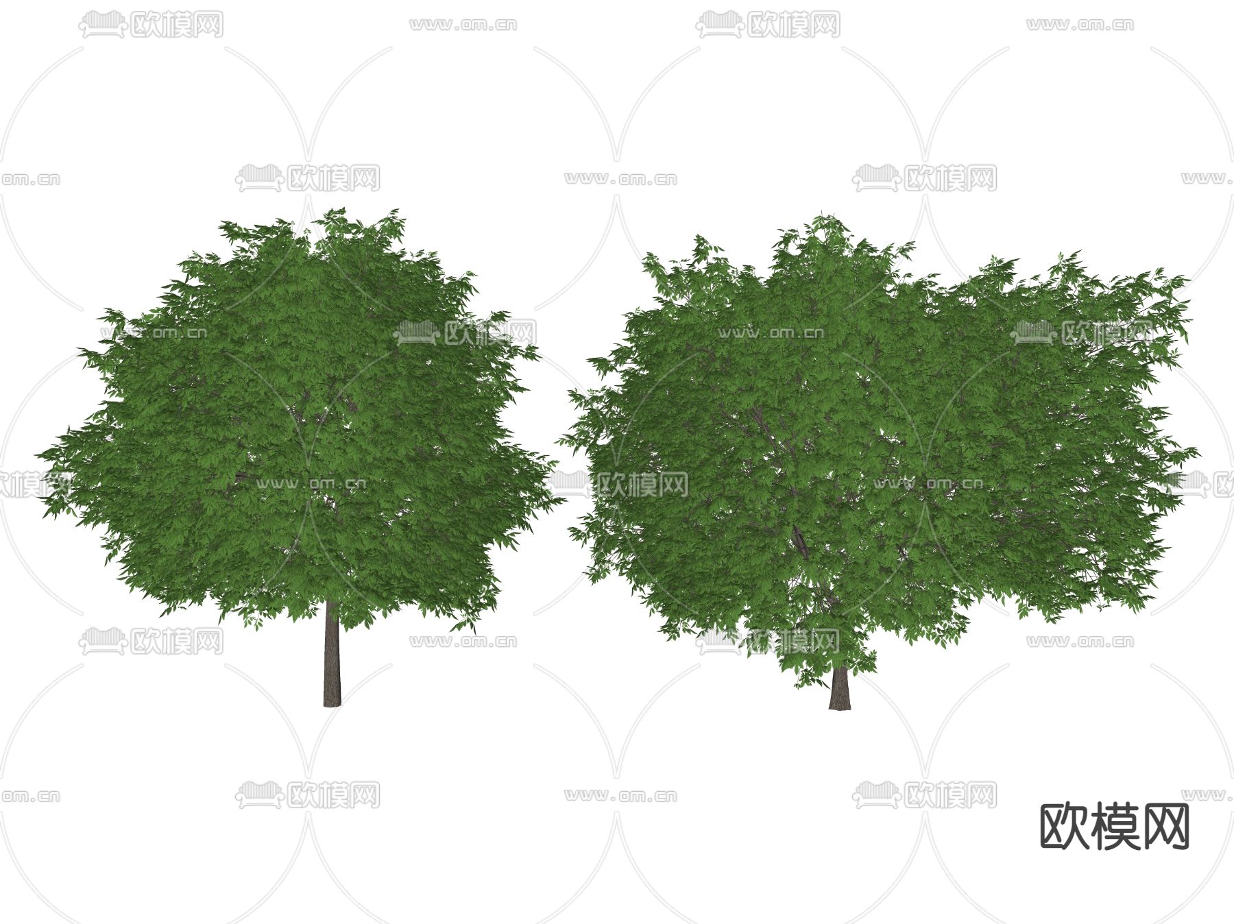 景观树 树木 乔木su模型下载（渲染图2）