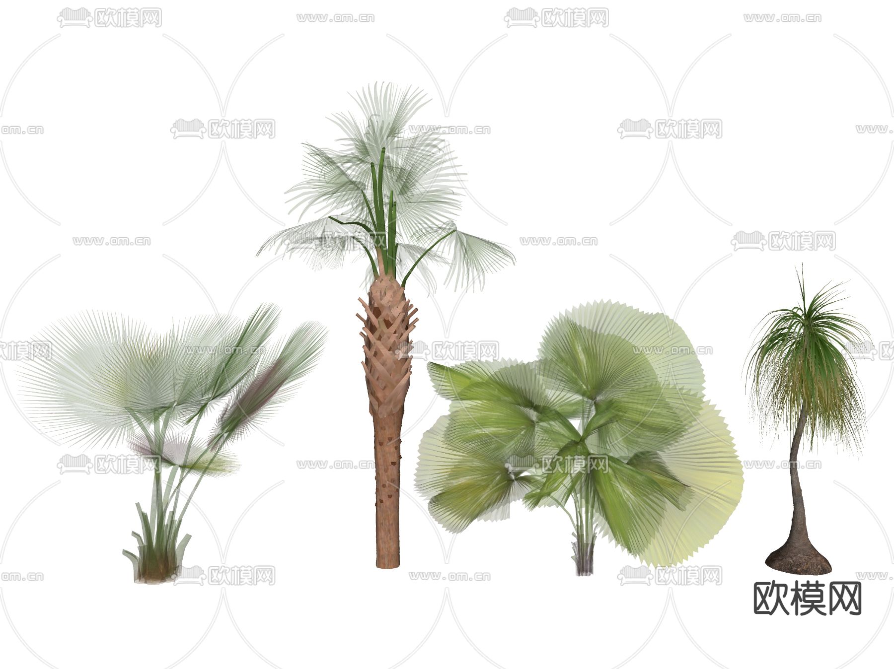 现代棕榈树 热带树木 椰子树su模型下载（渲染图2）