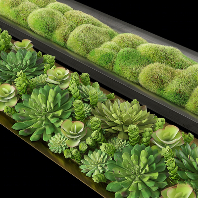  现代花钵 花盆 花箱su模型 