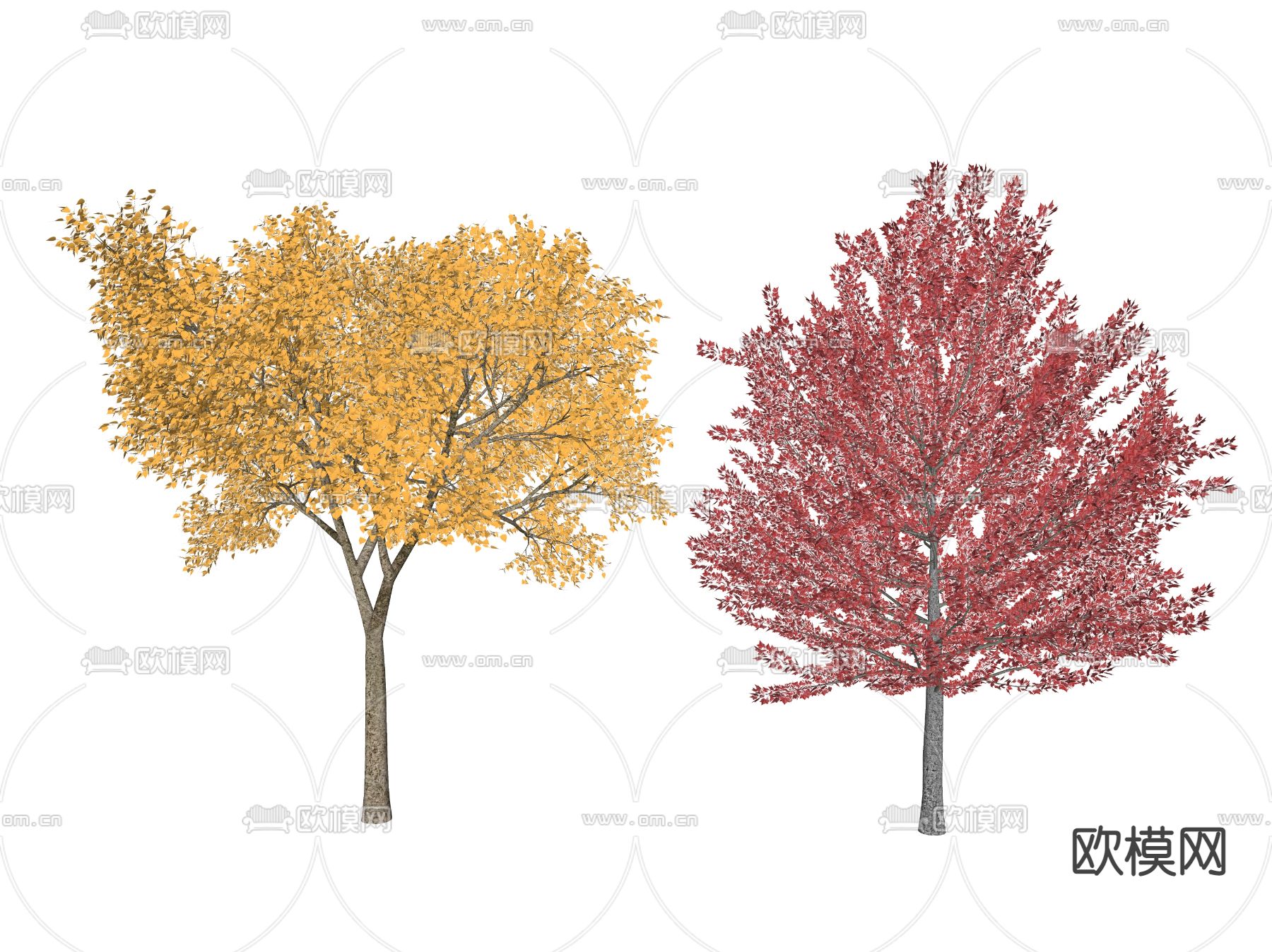 现代景观树 枫树su模型下载（渲染图2）