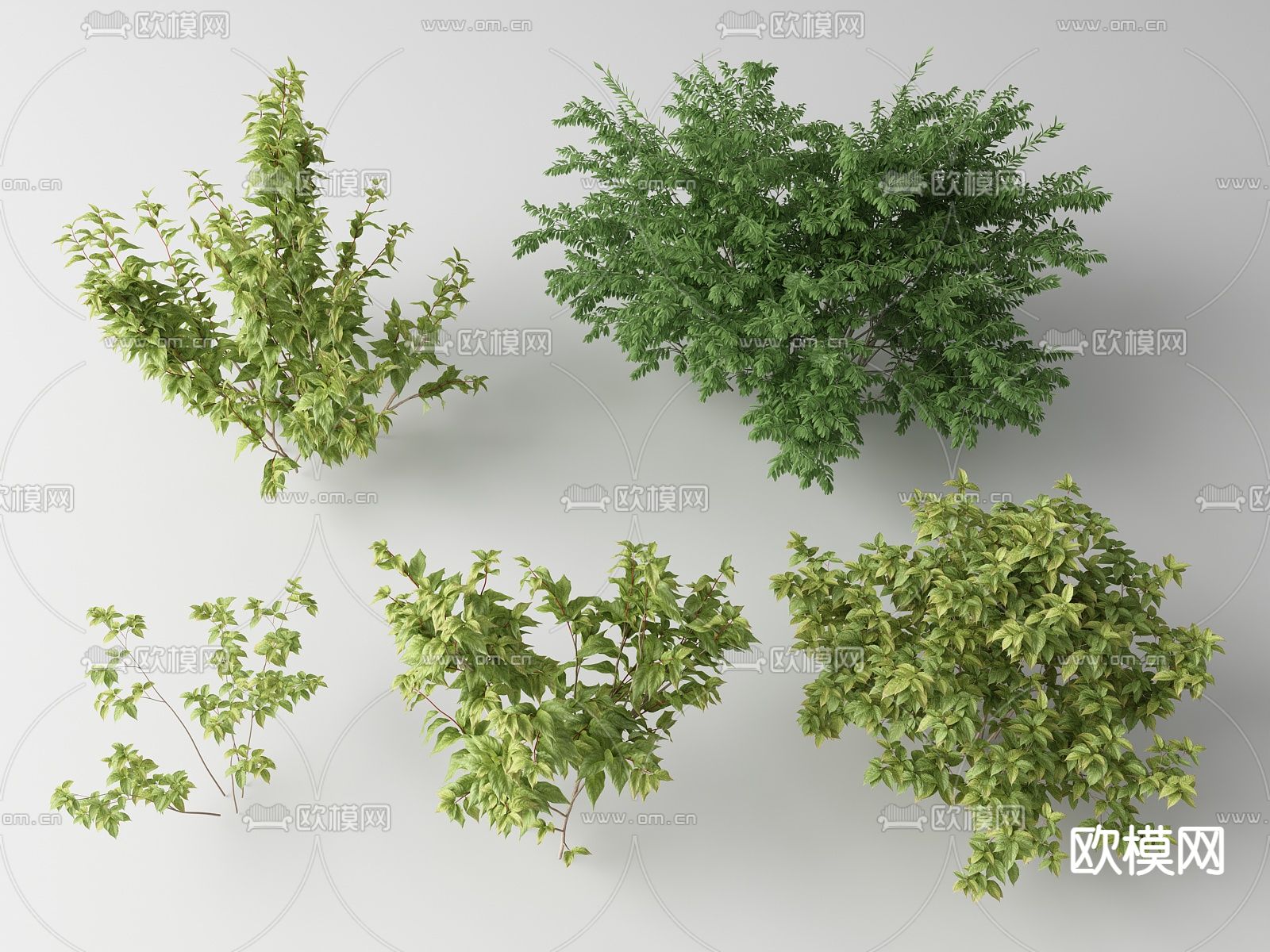 现代灌木丛su模型下载（渲染图1）
