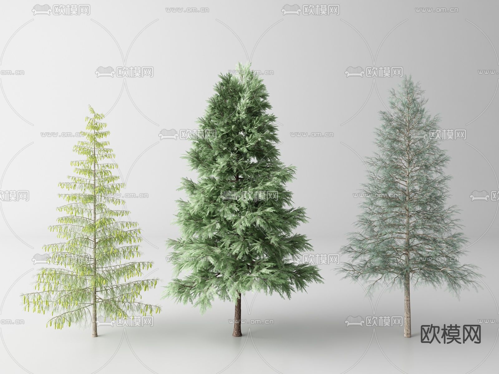 现代景观树 树木su模型下载（渲染图1）
