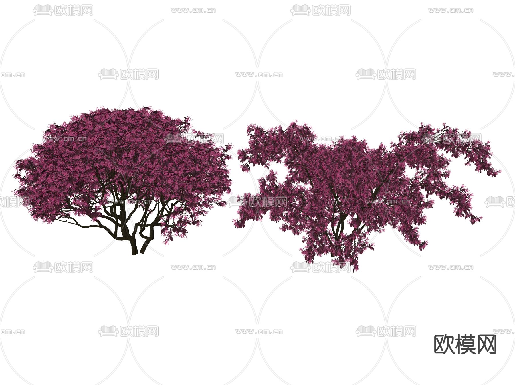 现代景观树 树木su模型下载（渲染图2）