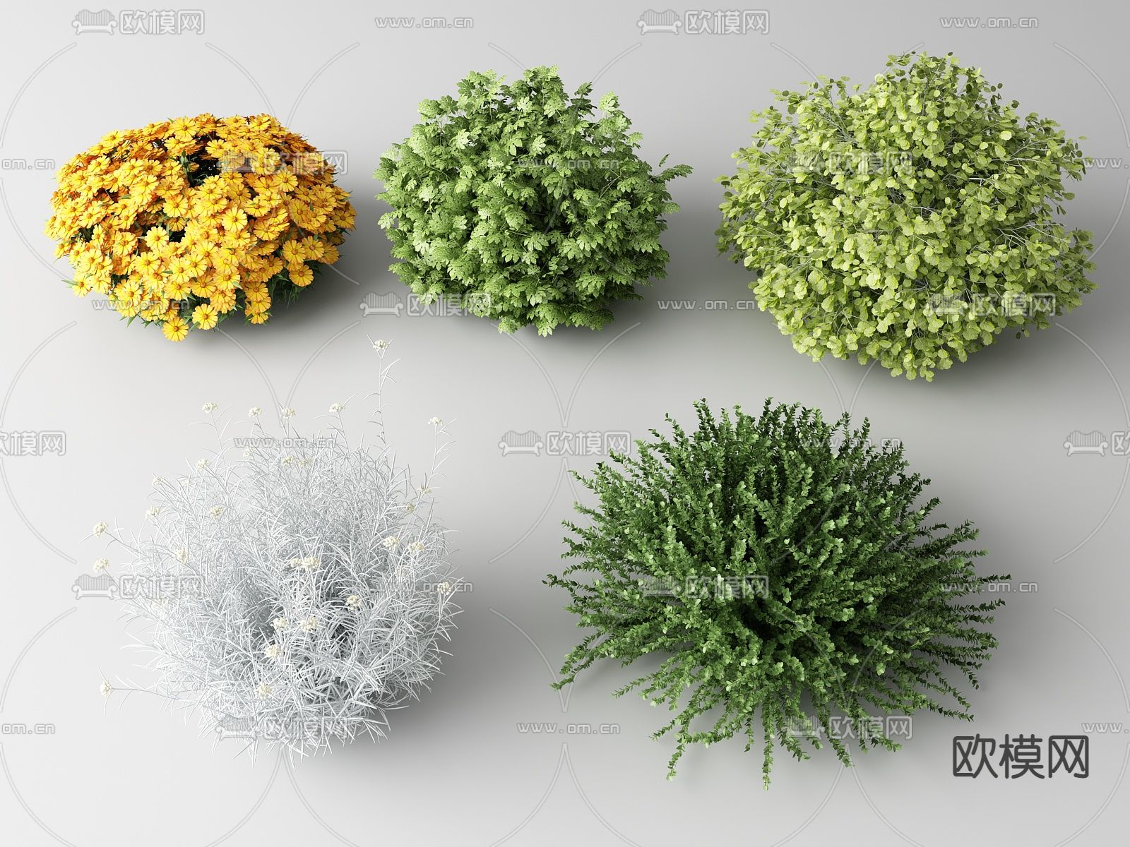 现代灌木丛su模型下载（渲染图1）