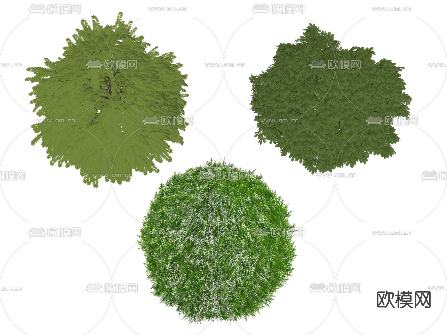现代灌木丛su模型下载（渲染图2）