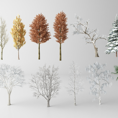  现代景观树 枫树 银杏树su模型 