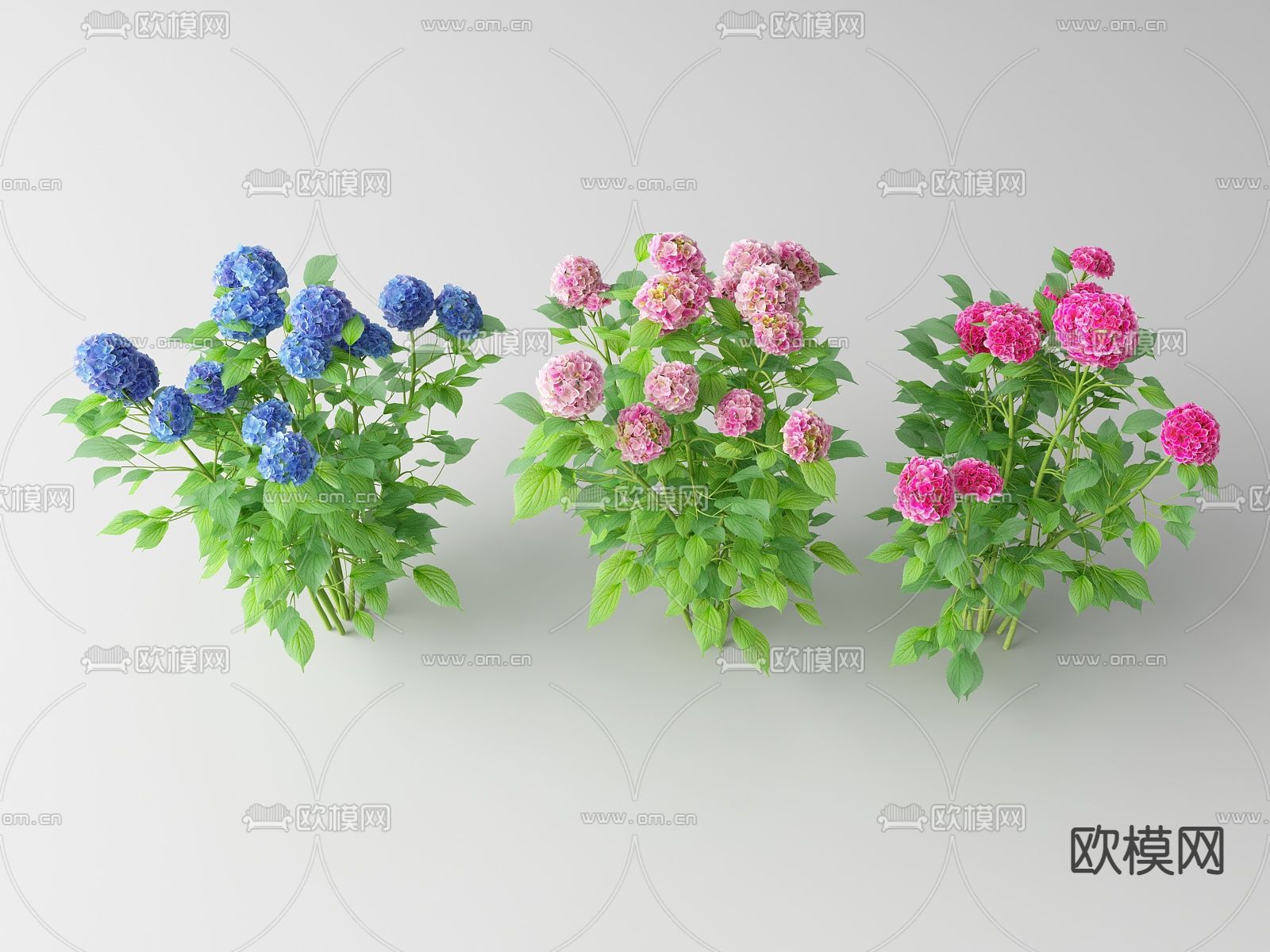 现代花草 野花su模型下载（渲染图1）