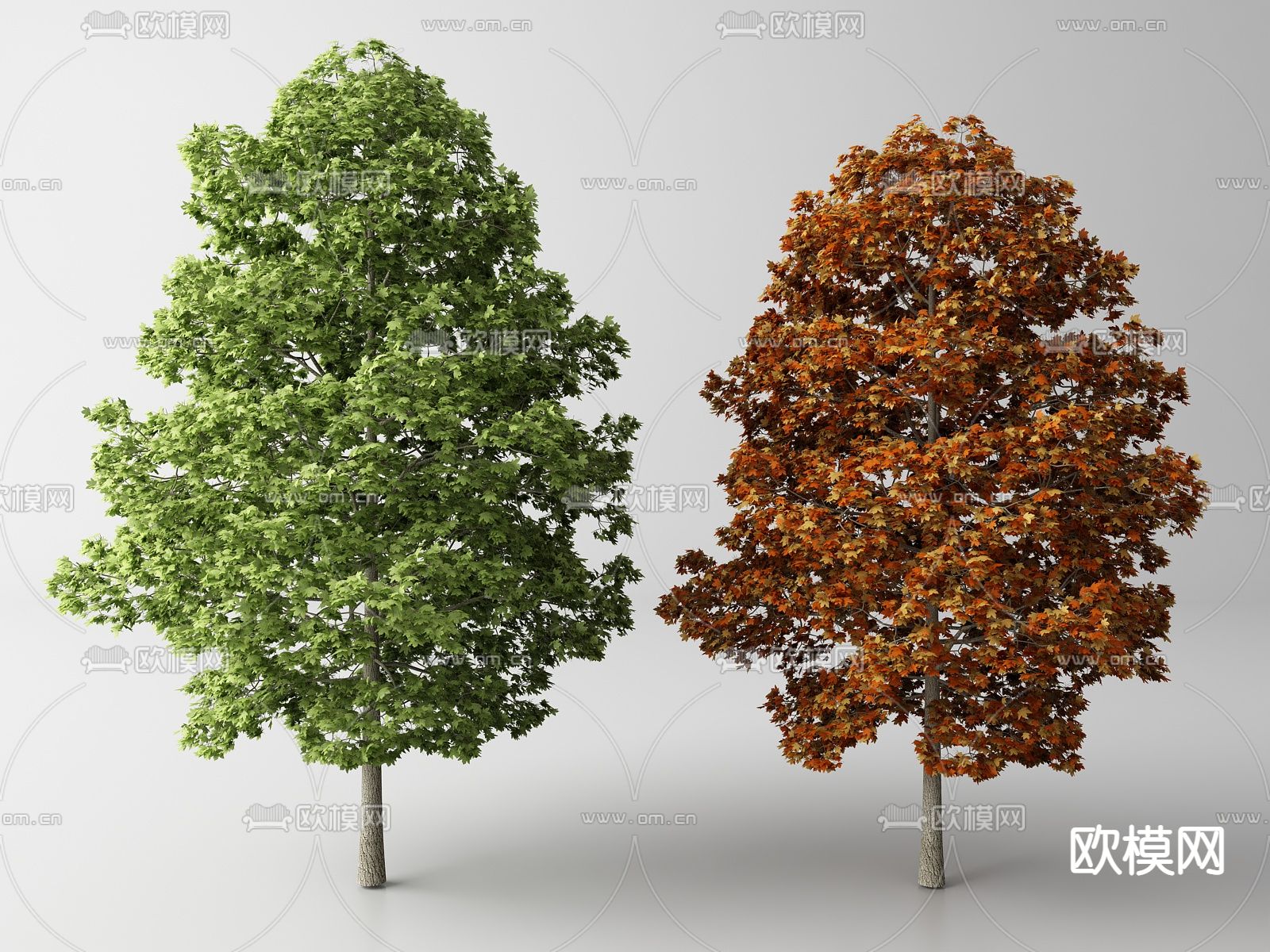 现代景观树 树木 乔木su模型下载（渲染图1）