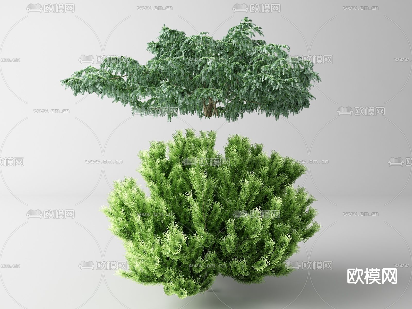 现代景观树 树木su模型下载（渲染图1）