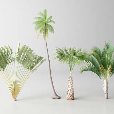  现代棕榈树 热带树木 椰子树su模型 