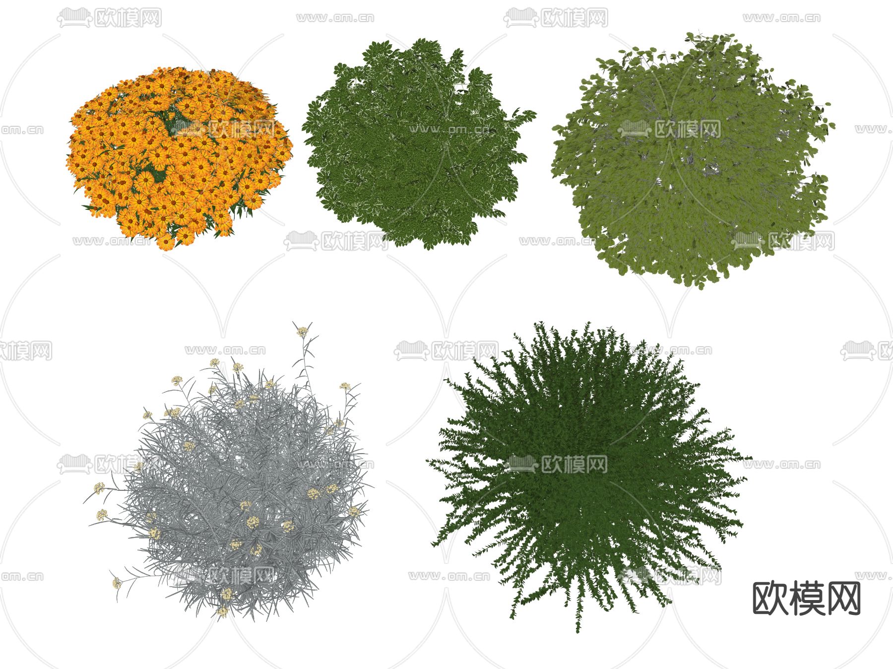现代灌木丛su模型下载（渲染图2）