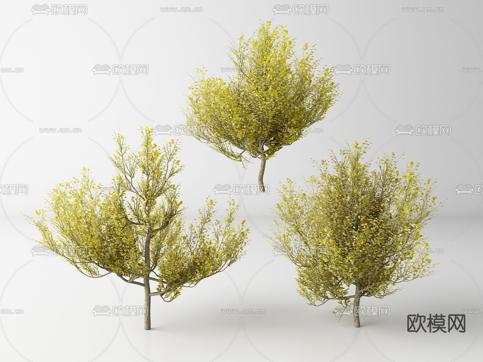 现代景观树 树木 园林树su模型下载（渲染图1）