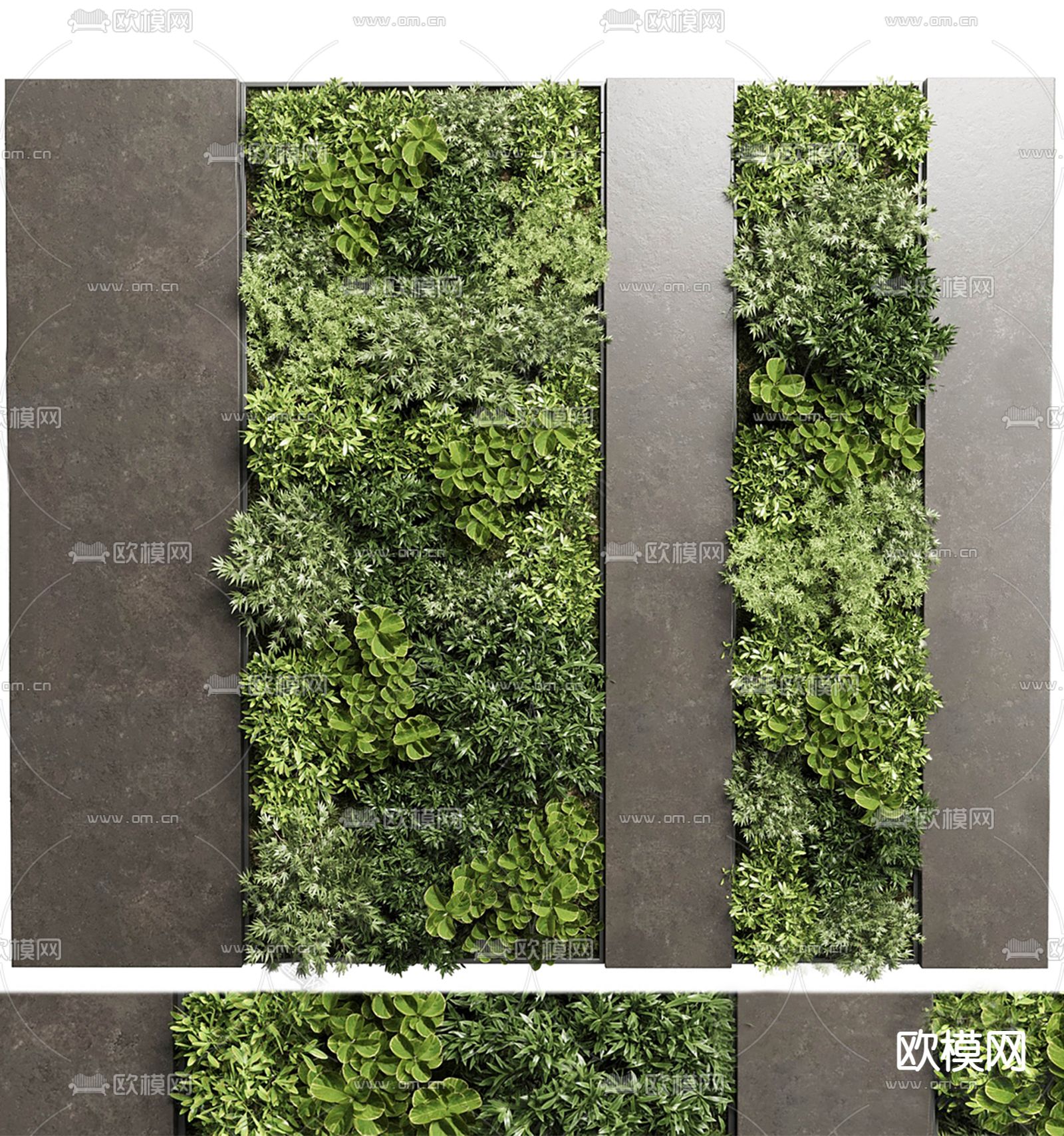 植物墙 苔藓墙su模型下载（渲染图1）