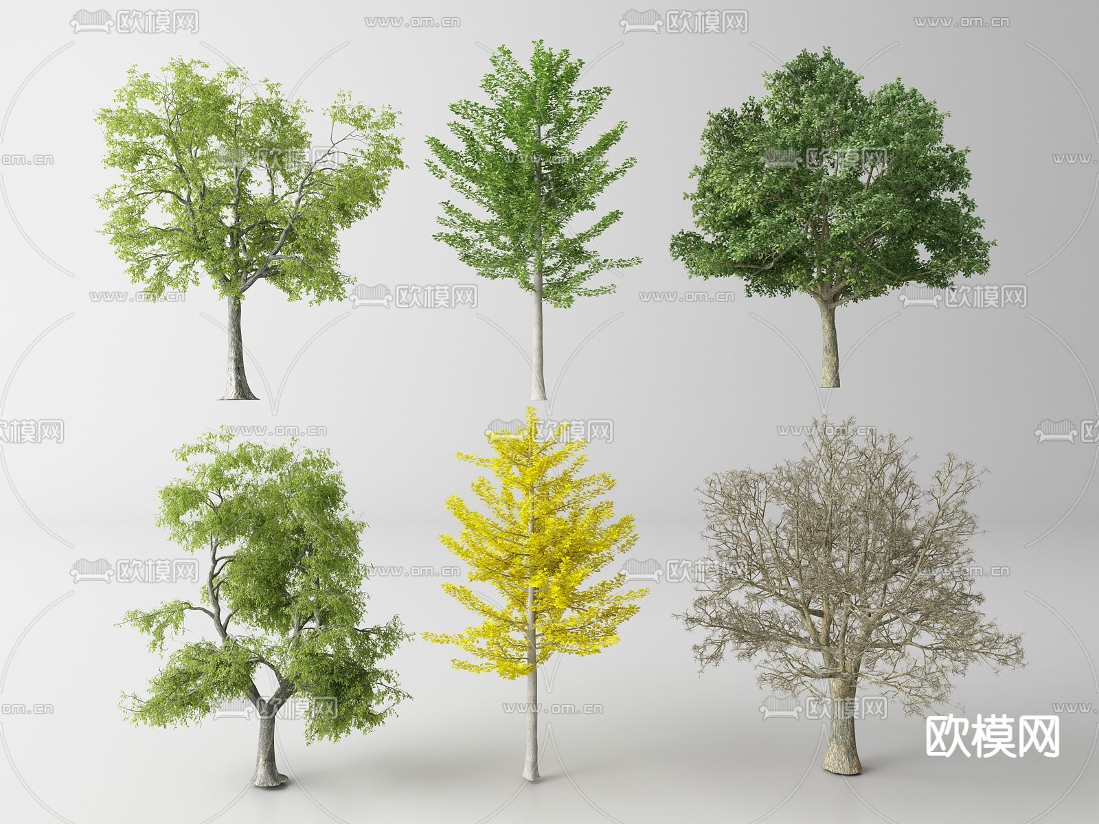 现代景观树 树木su模型下载（渲染图1）