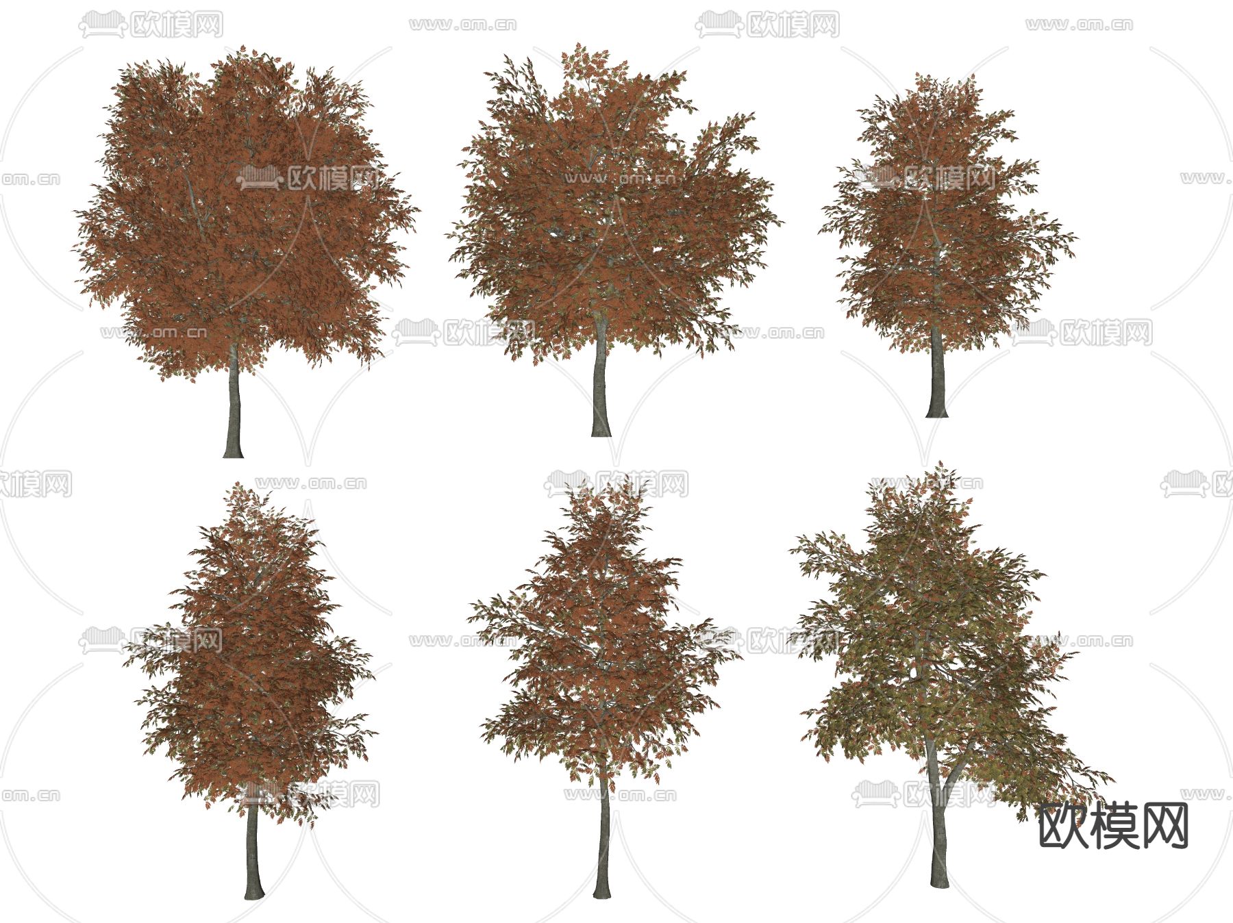 现代景观树 树木su模型下载（渲染图2）