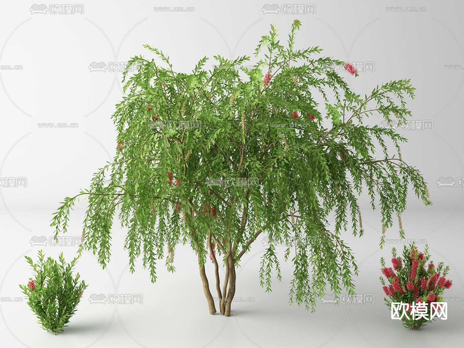 现代景观树 树木su模型下载（渲染图1）