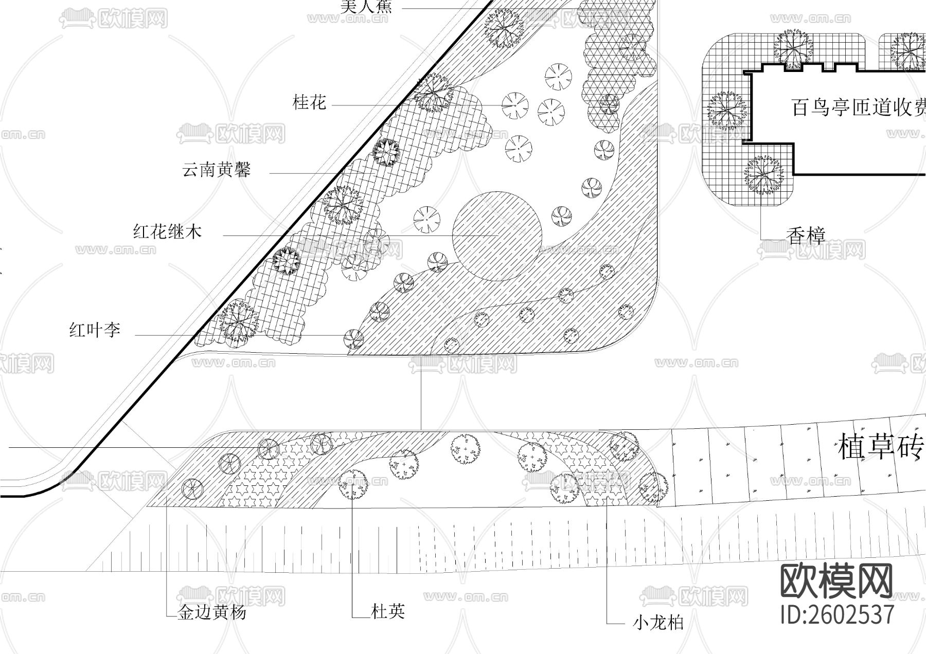 匝道服务区绿化景观CAD施工图下载（渲染图2）