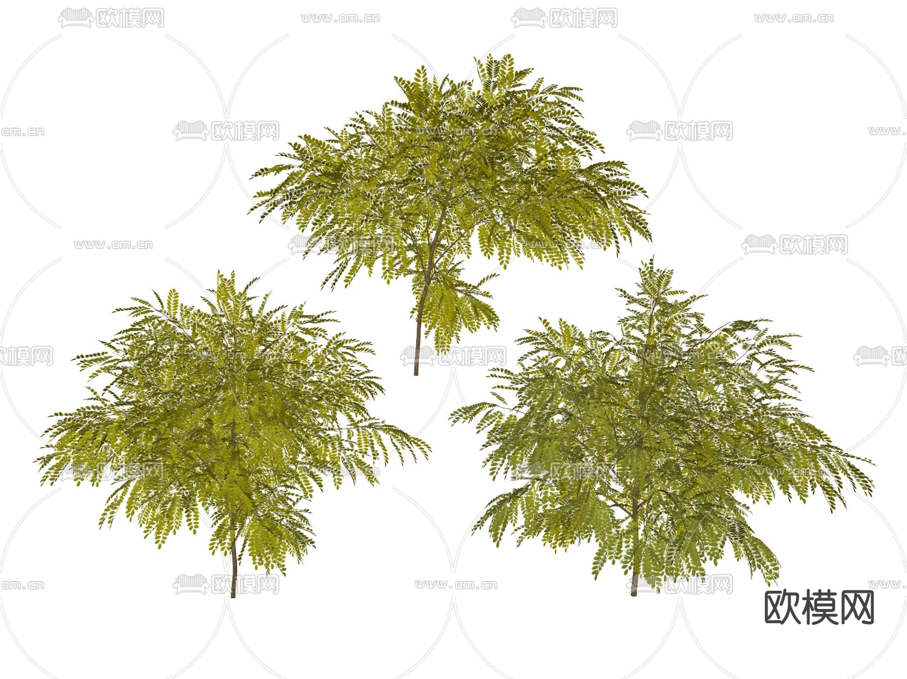 现代景观树 树木su模型下载（渲染图2）