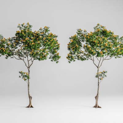  景观树 大树su模型 