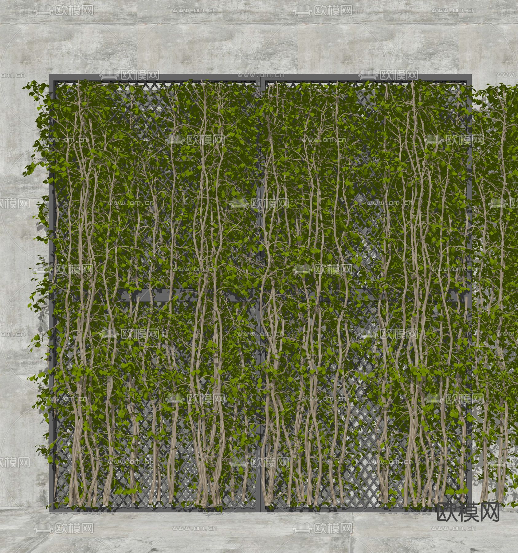 藤蔓植物墙su模型下载（渲染图2）