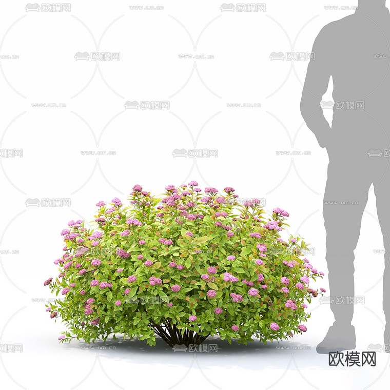 灌木 花丛3d模型下载_ID14050586_3dmax免费模型-欧模网