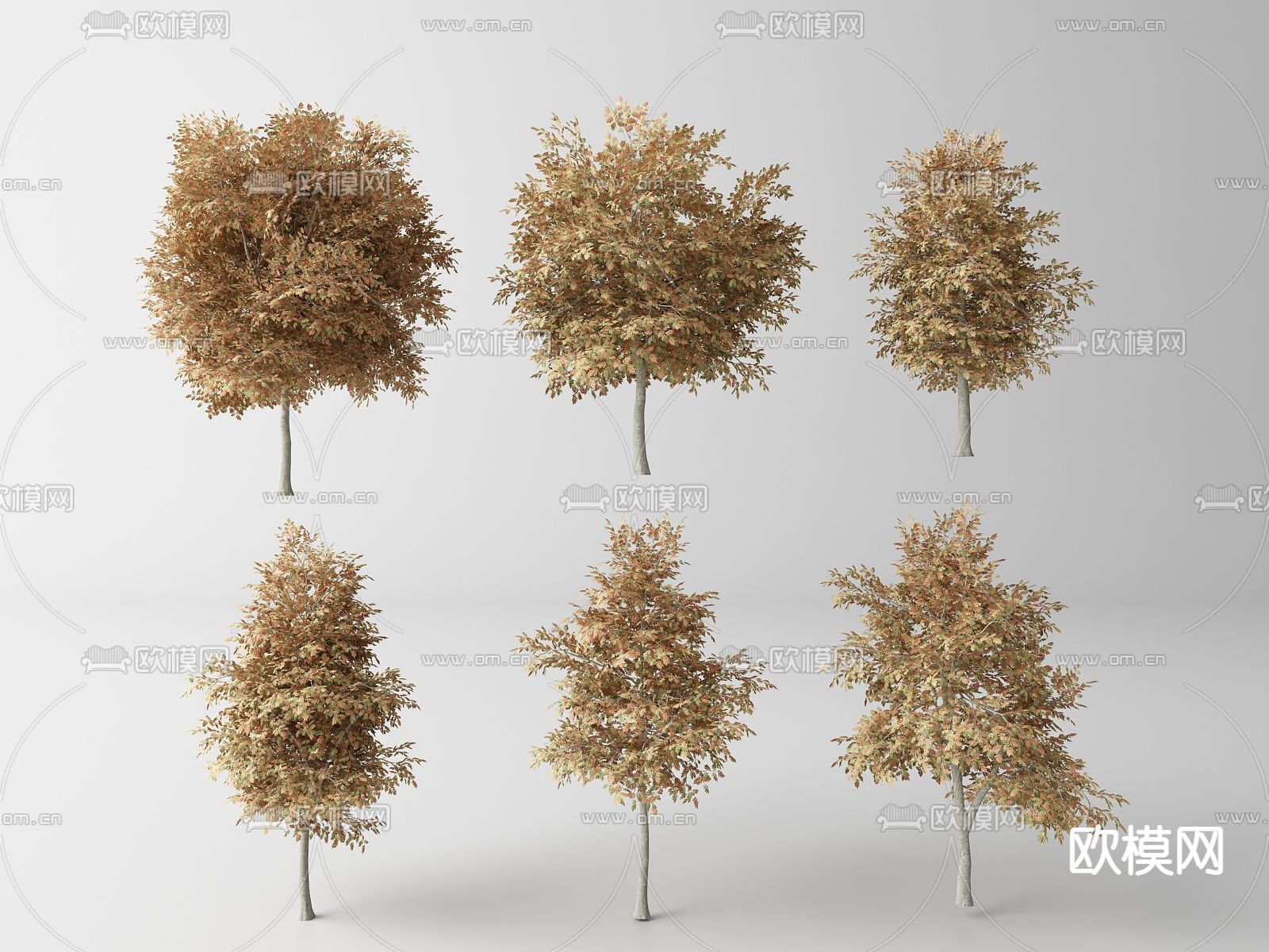 现代景观树 树木su模型下载（渲染图1）