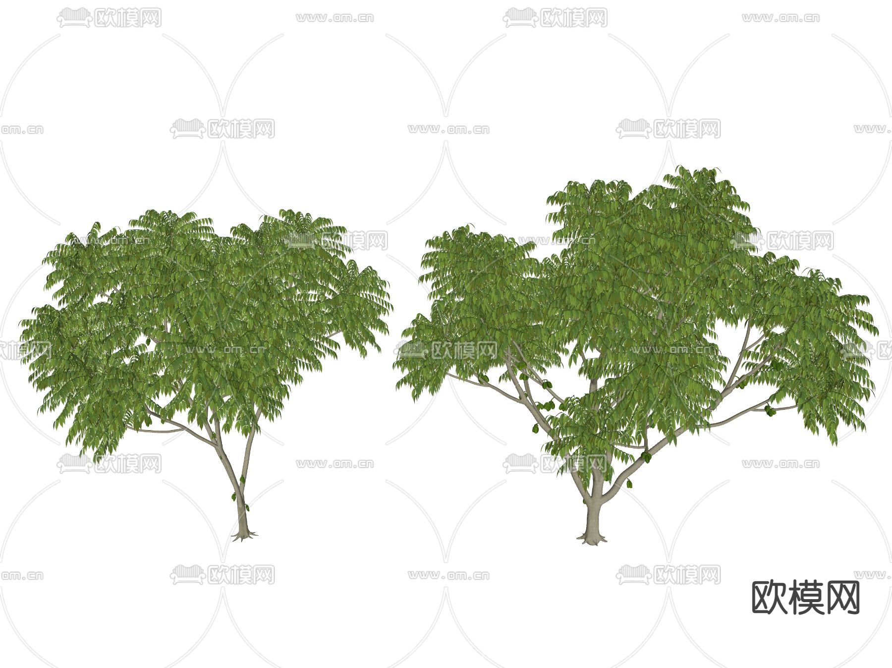 现代景观树 树木 乔木su模型下载（渲染图2）