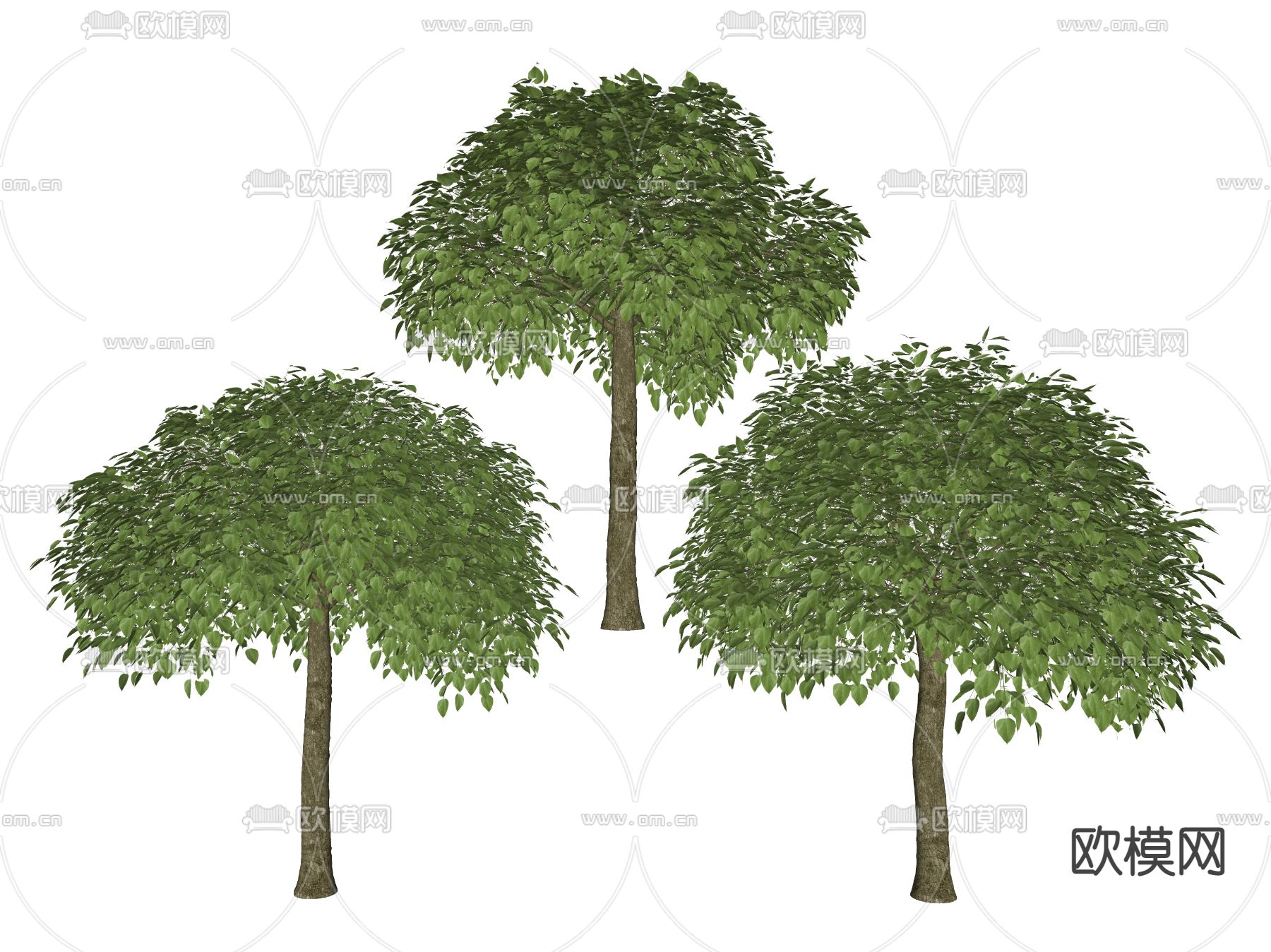 现代景观树 树木su模型下载（渲染图2）