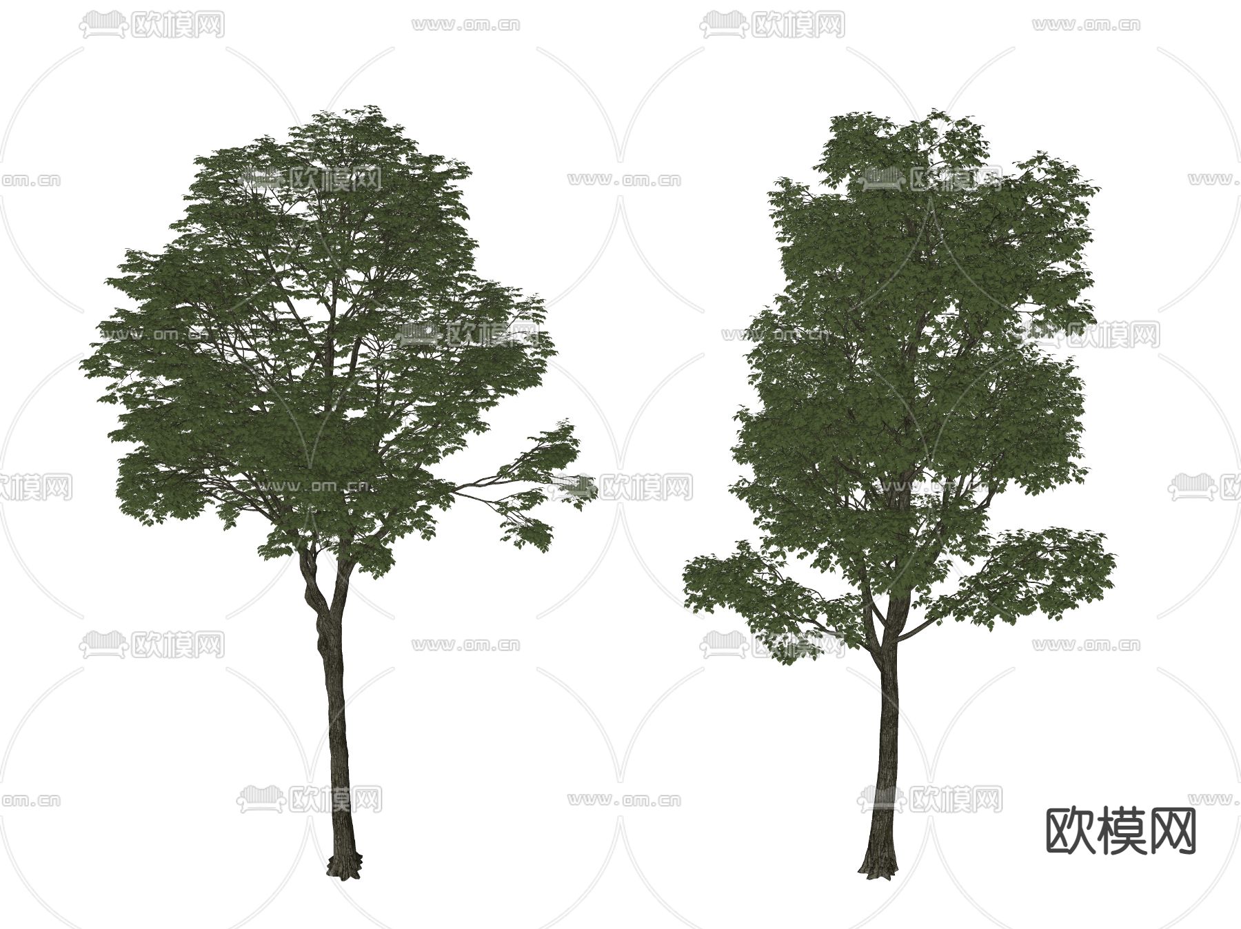现代景观树 树木su模型下载（渲染图2）