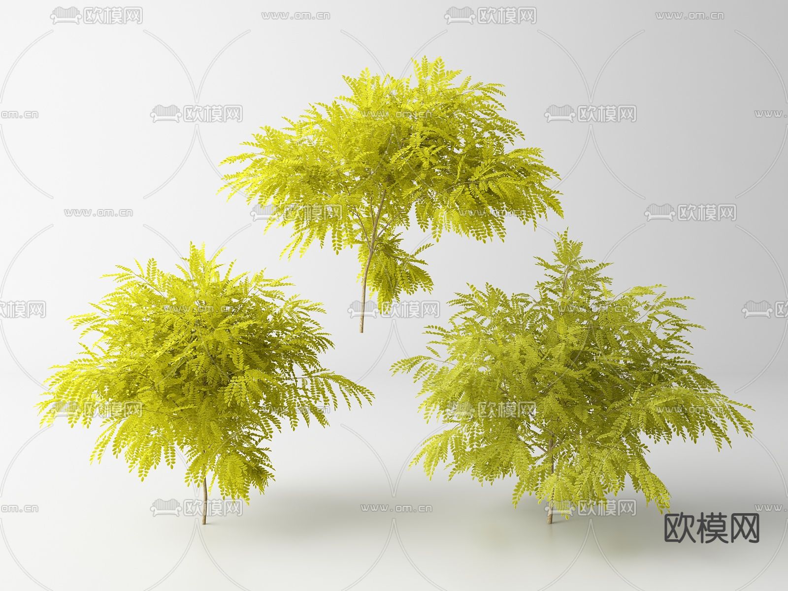 现代景观树 树木su模型下载（渲染图1）