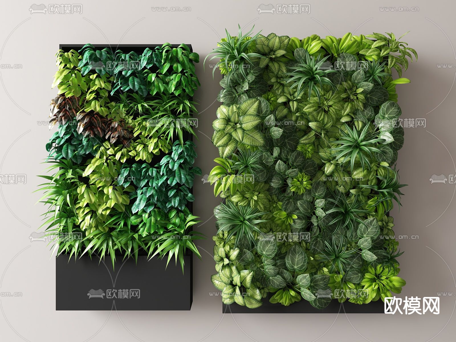 植物墙 苔藓墙su模型下载（渲染图1）