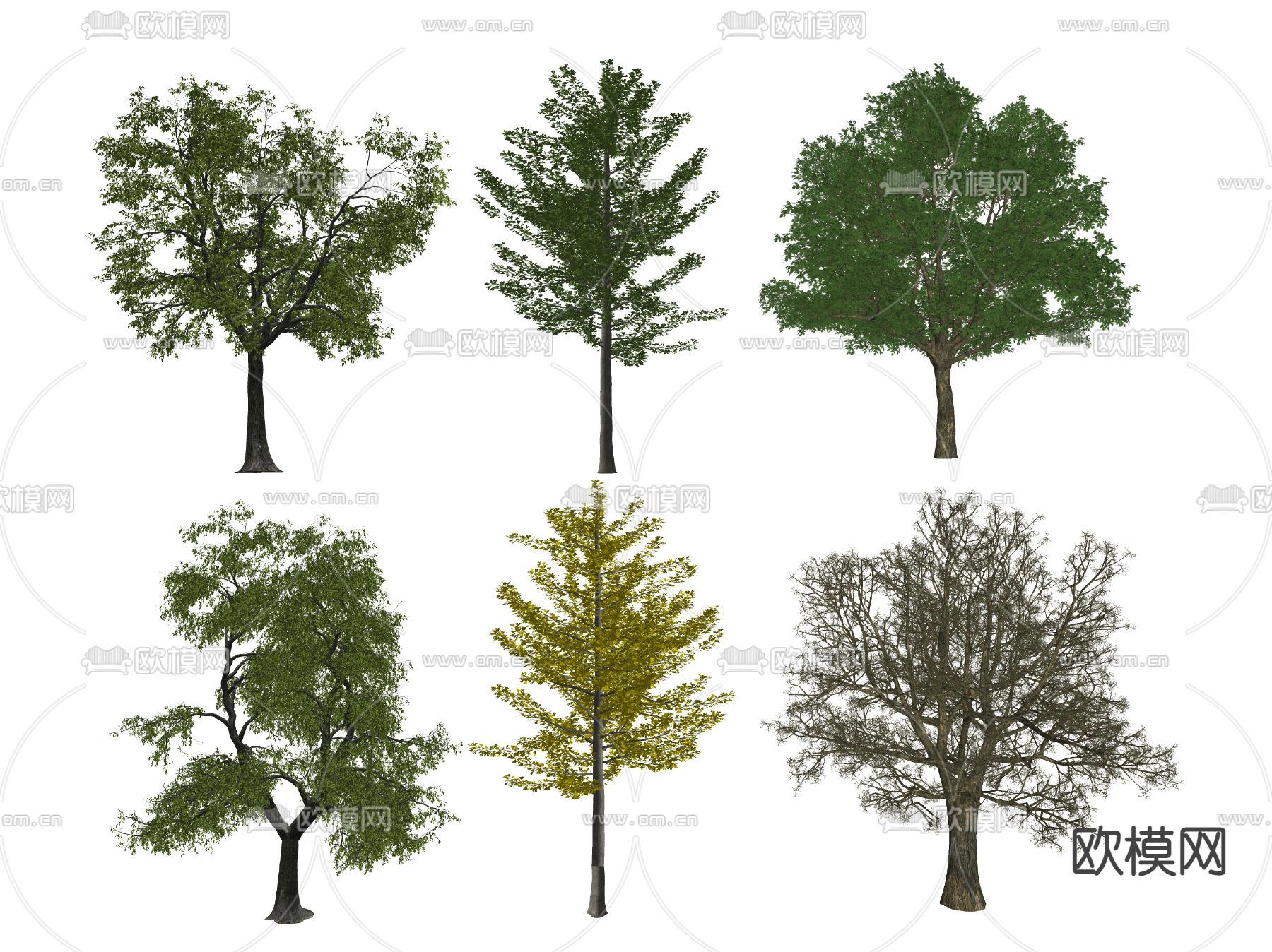 现代景观树 树木su模型下载（渲染图2）