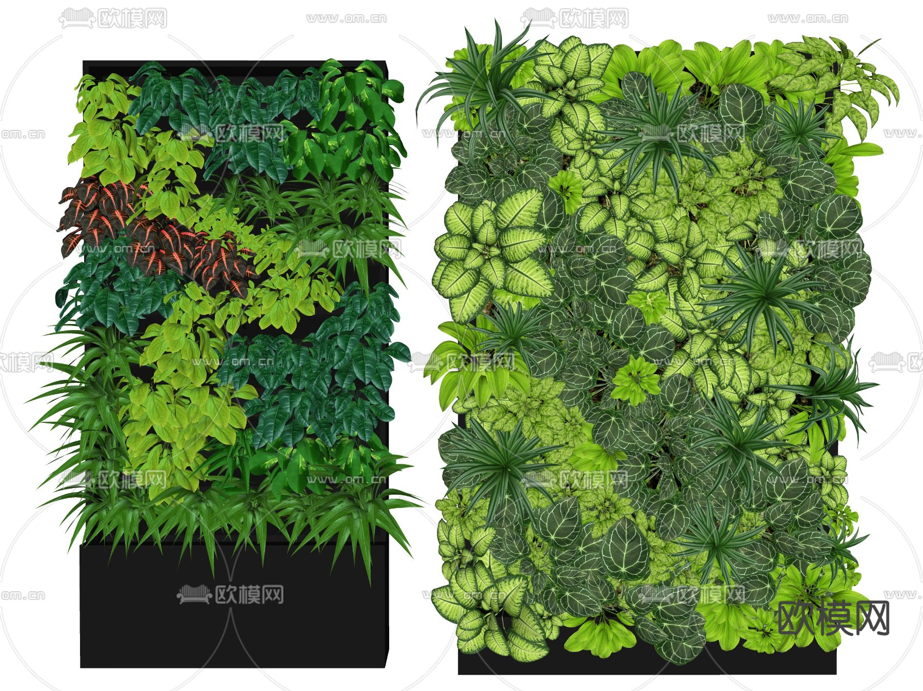 植物墙 苔藓墙su模型下载（渲染图2）