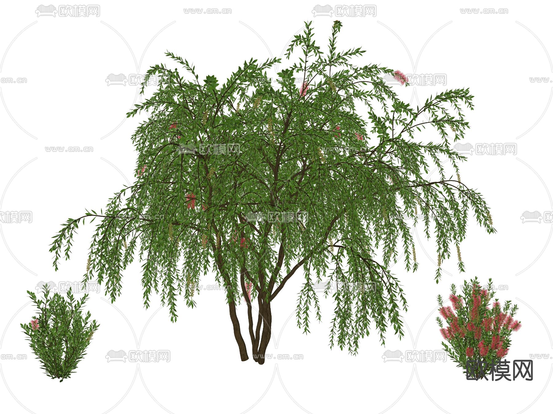 现代景观树 树木su模型下载（渲染图2）