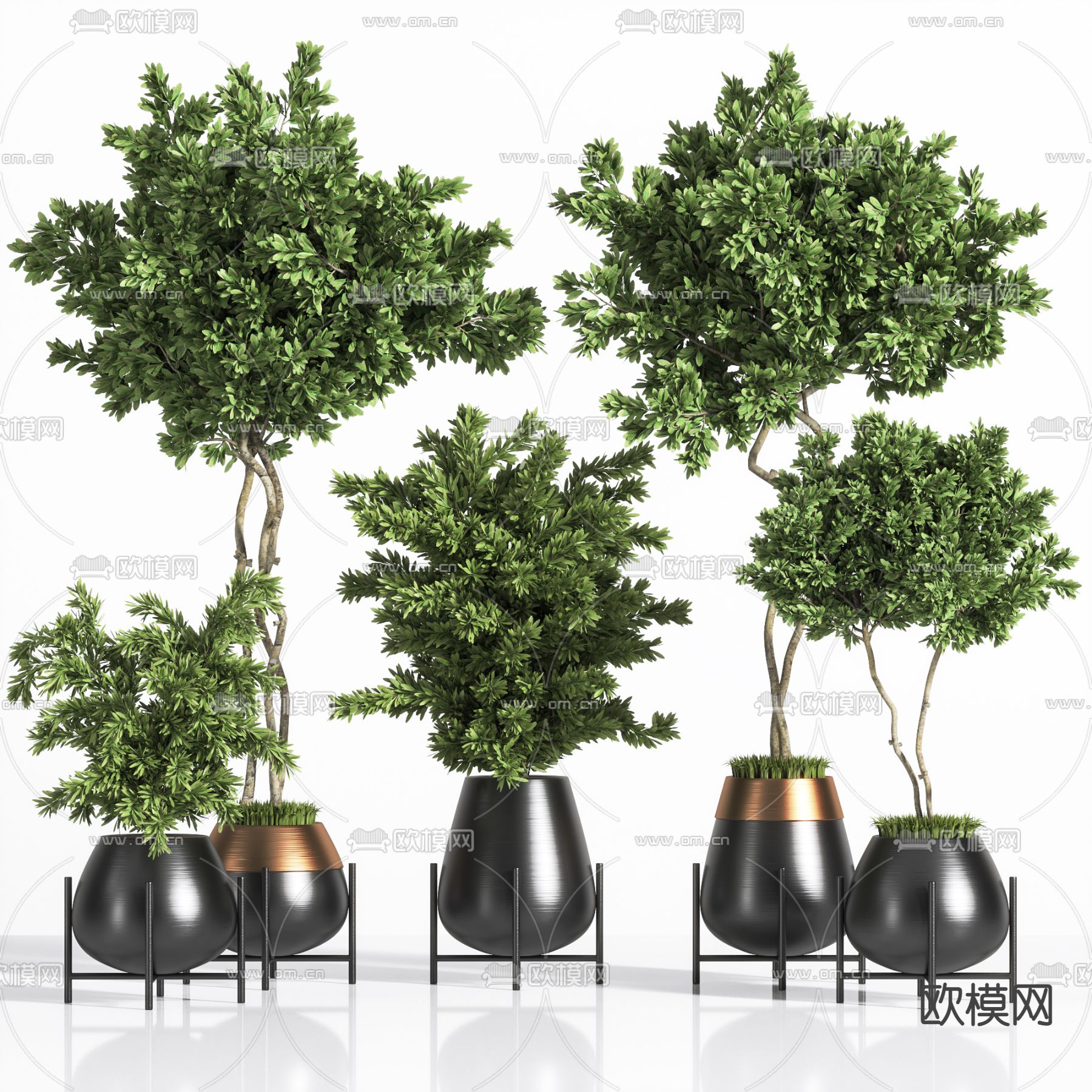 盆栽 盆景3d模型下载_ID14049831_3dmax免费模型-欧模网