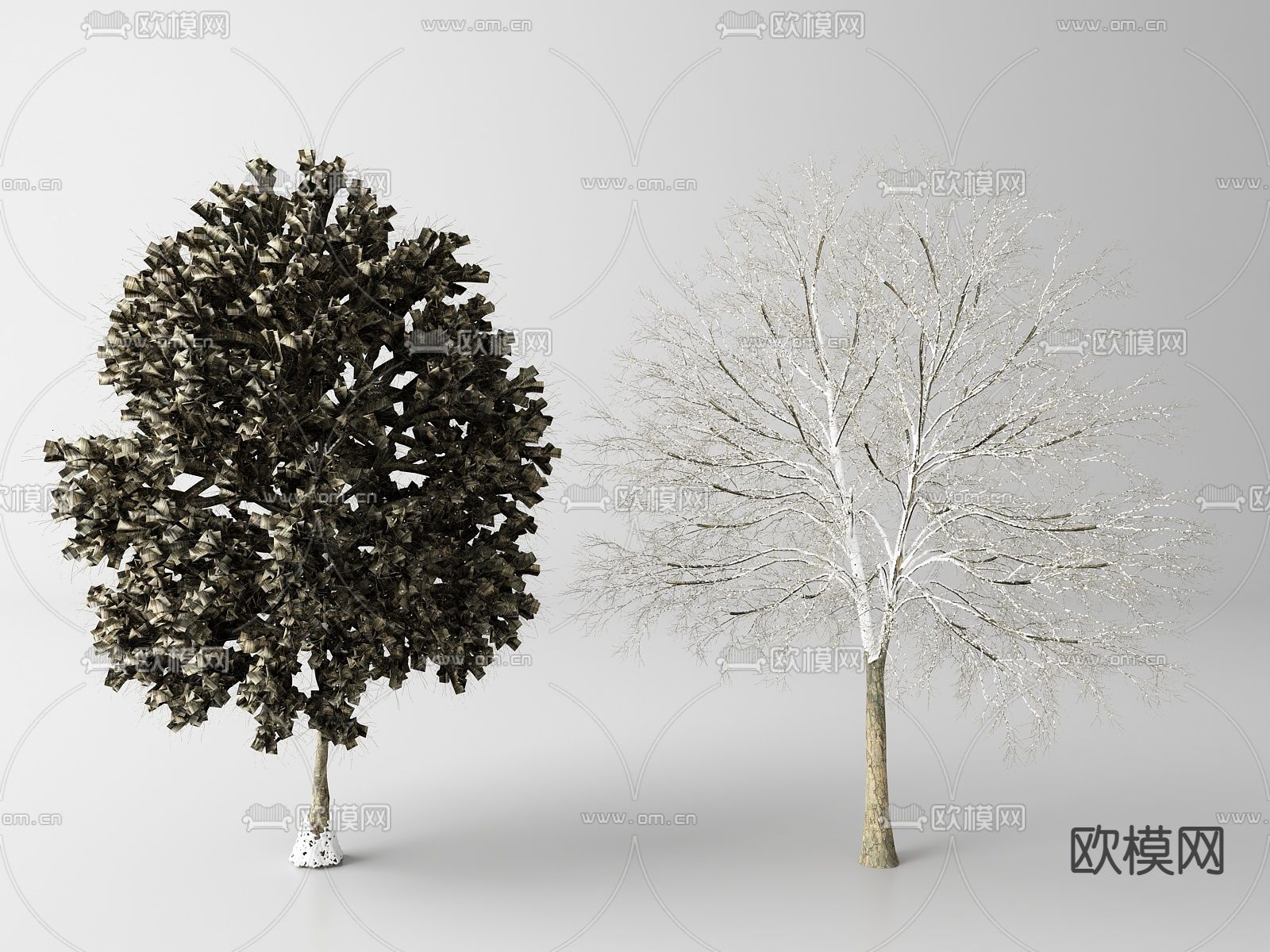 雪松 枯树 冬季树su模型下载（渲染图2）