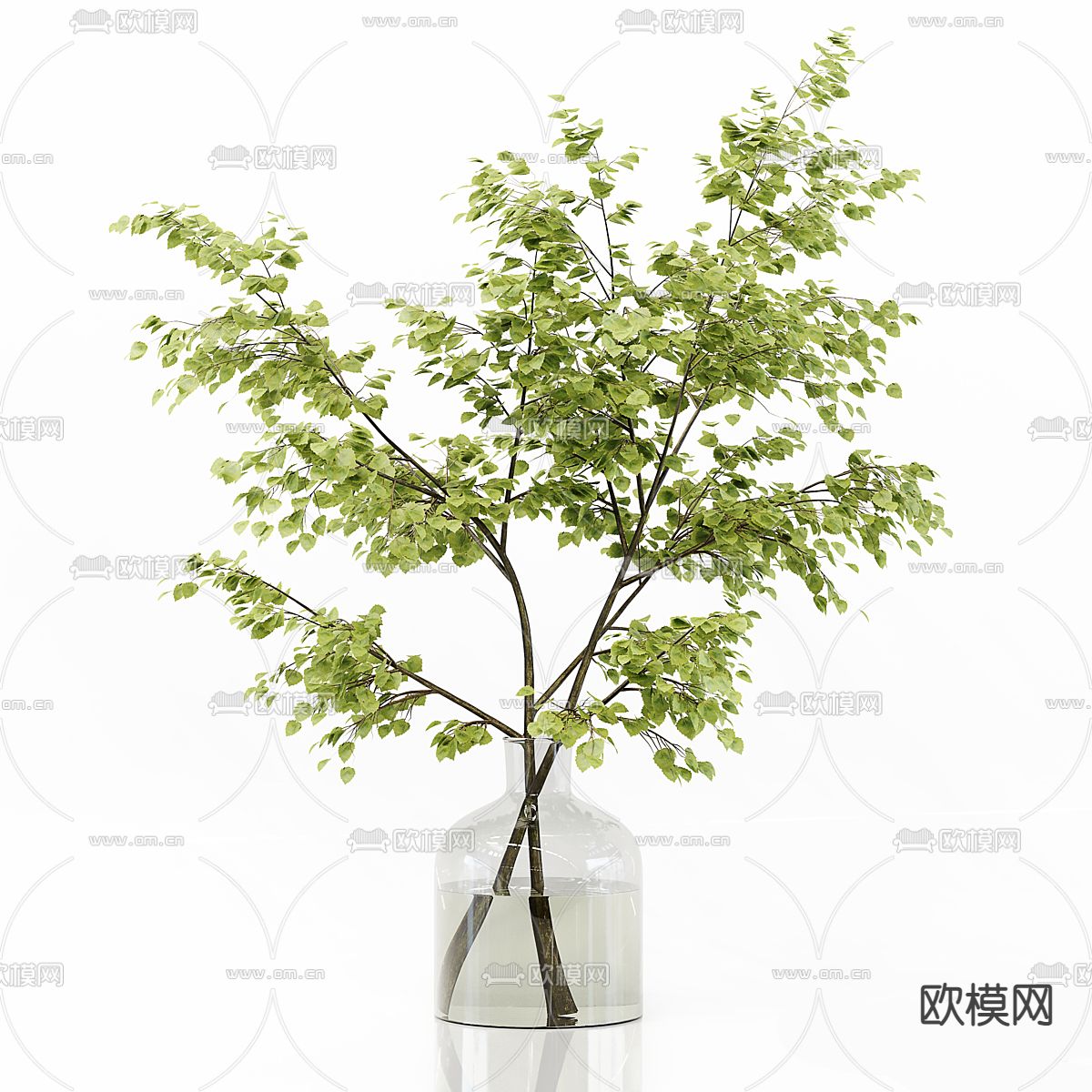 水生植物 绿植花瓶3d模型下载（渲染图3）