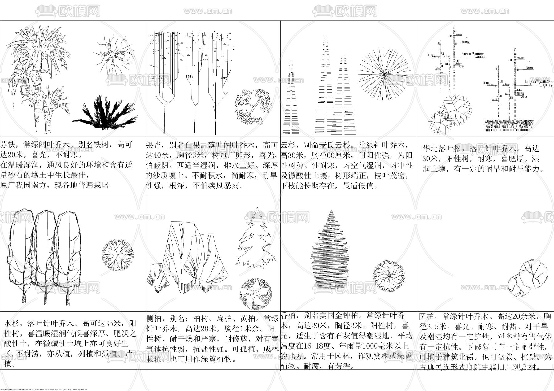 各种平立面树种图块cad图库下载（渲染图1）