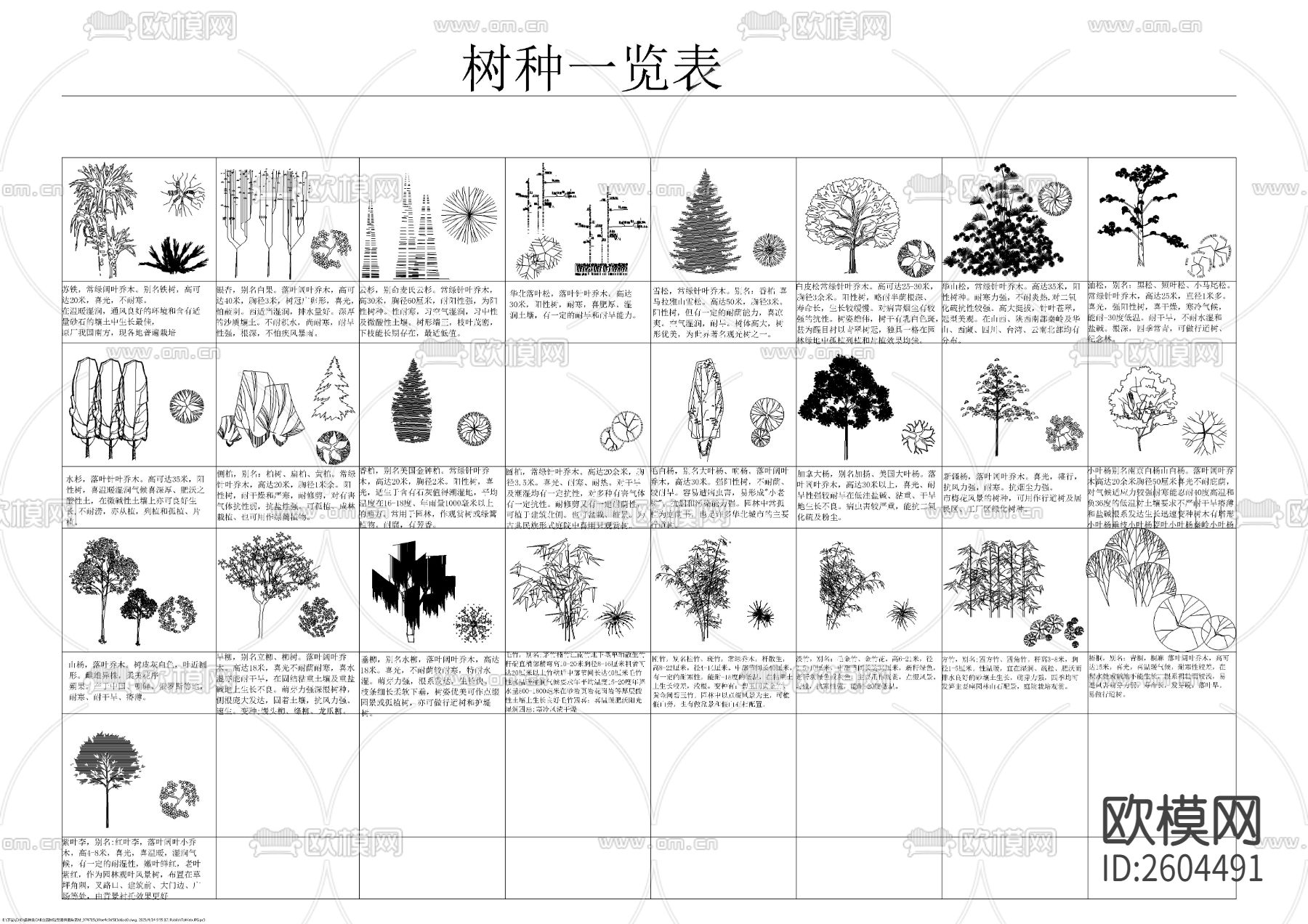 各种平立面树种图块cad图库下载（渲染图2）
