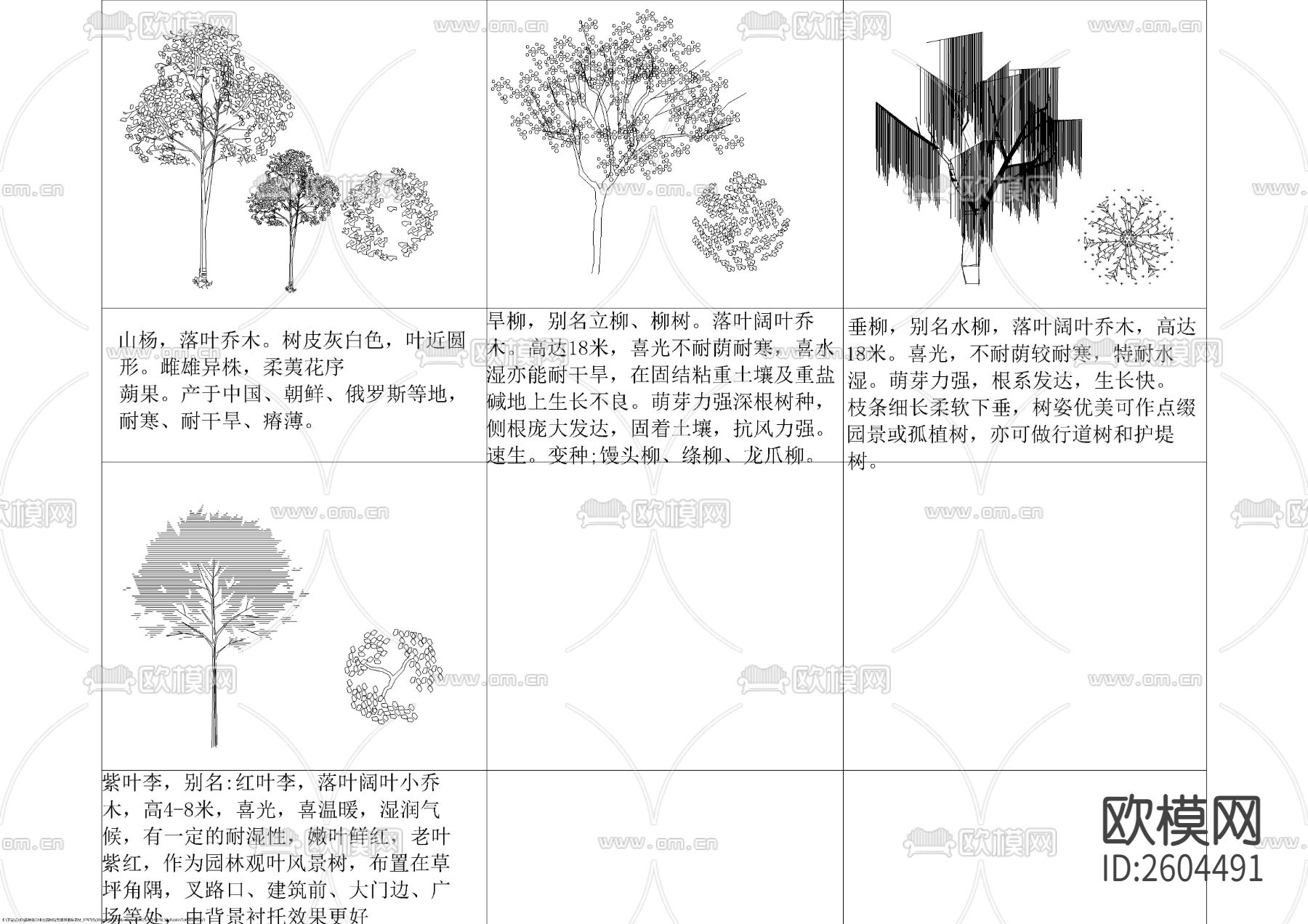 各种平立面树种图块cad图库下载（渲染图3）