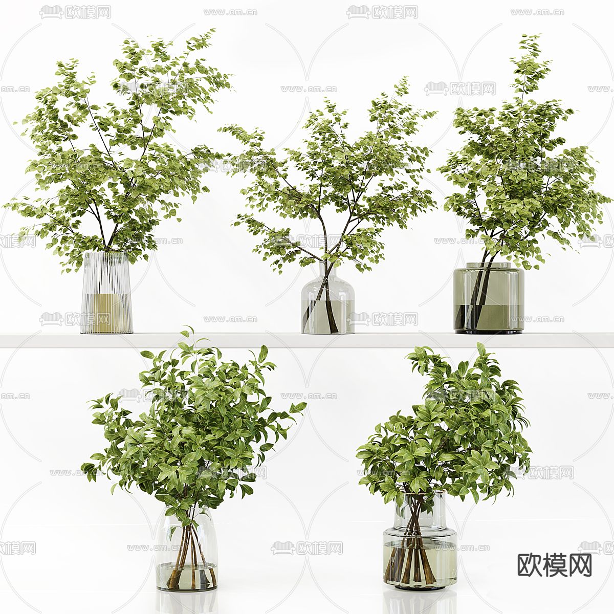 水生植物 绿植花瓶3d模型下载（渲染图2）