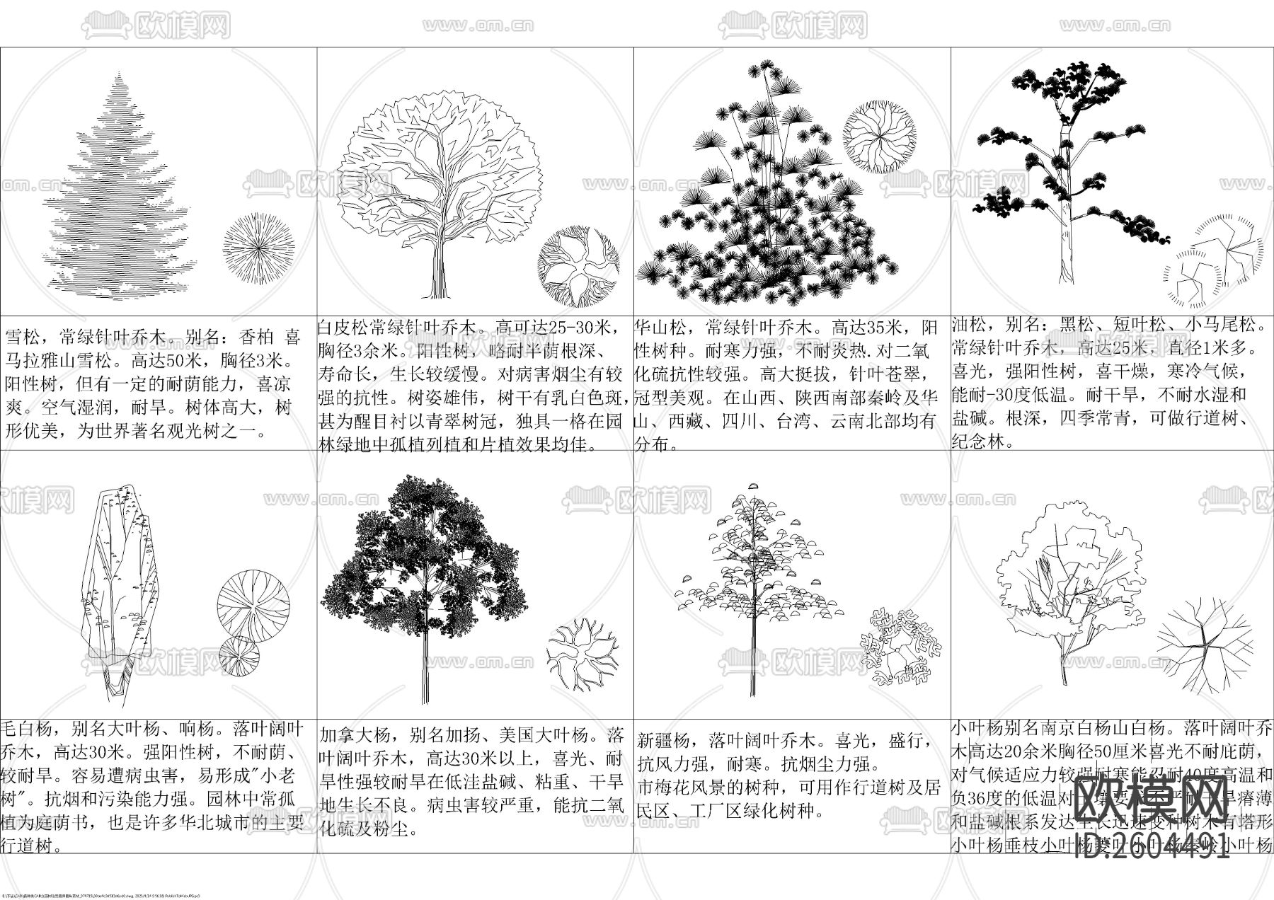 各种平立面树种图块cad图库下载（渲染图5）