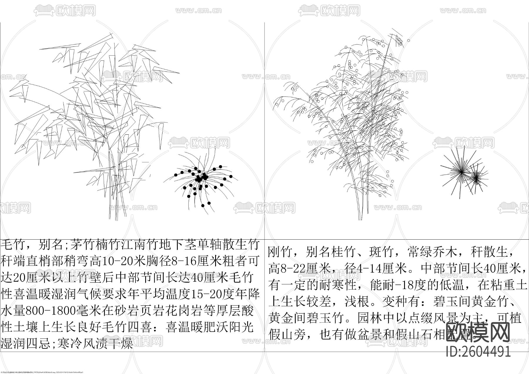 各种平立面树种图块cad图库下载（渲染图4）
