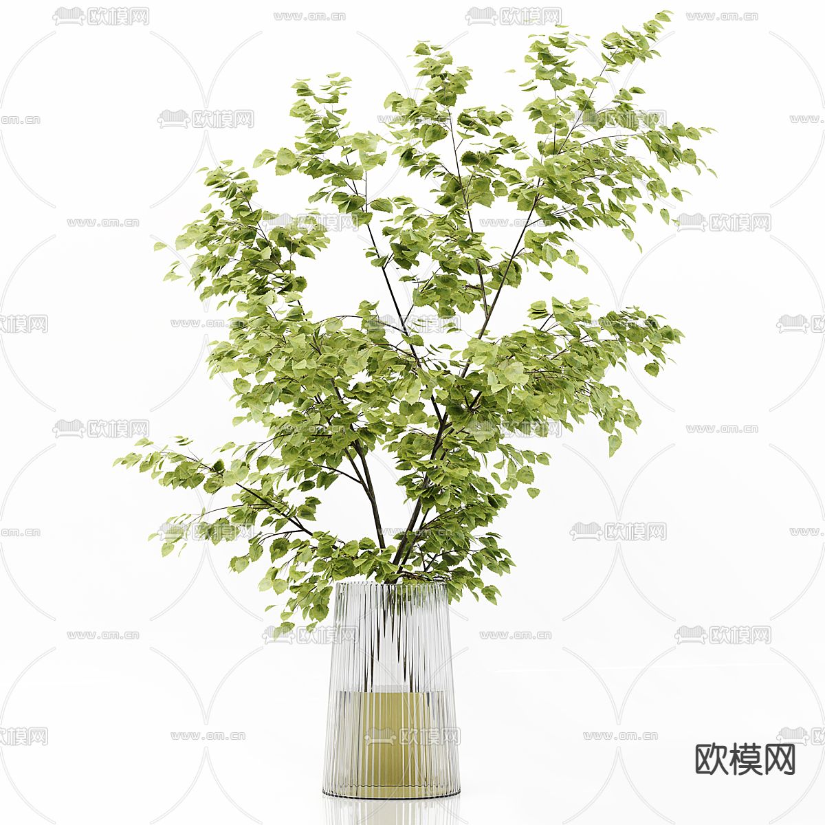 水生植物 绿植花瓶3d模型下载（渲染图1）
