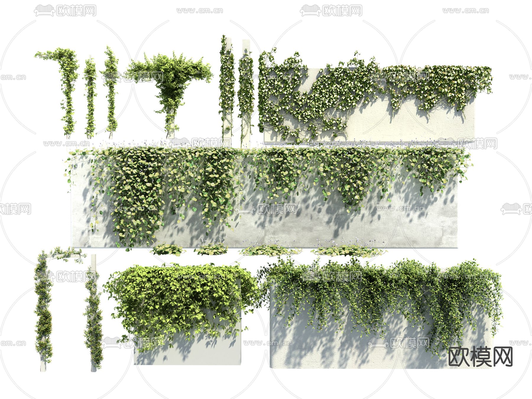 藤蔓 爬山虎 植物墙3d模型