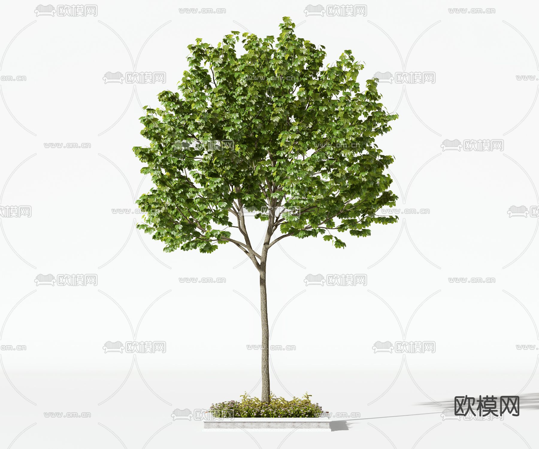 景观树 树木 乔木3d模型下载