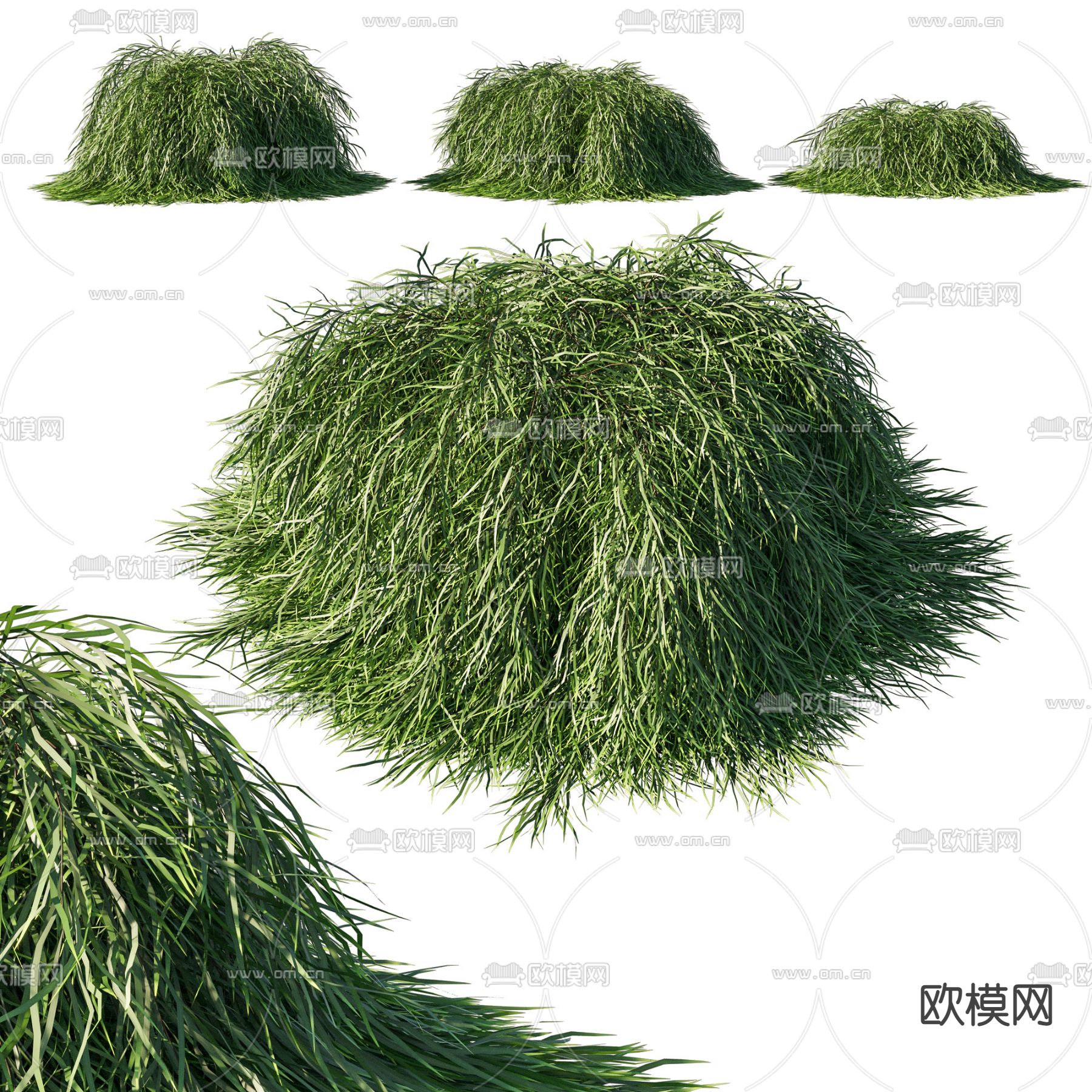 灌木植物 树篱草堆su模型下载（渲染图3）