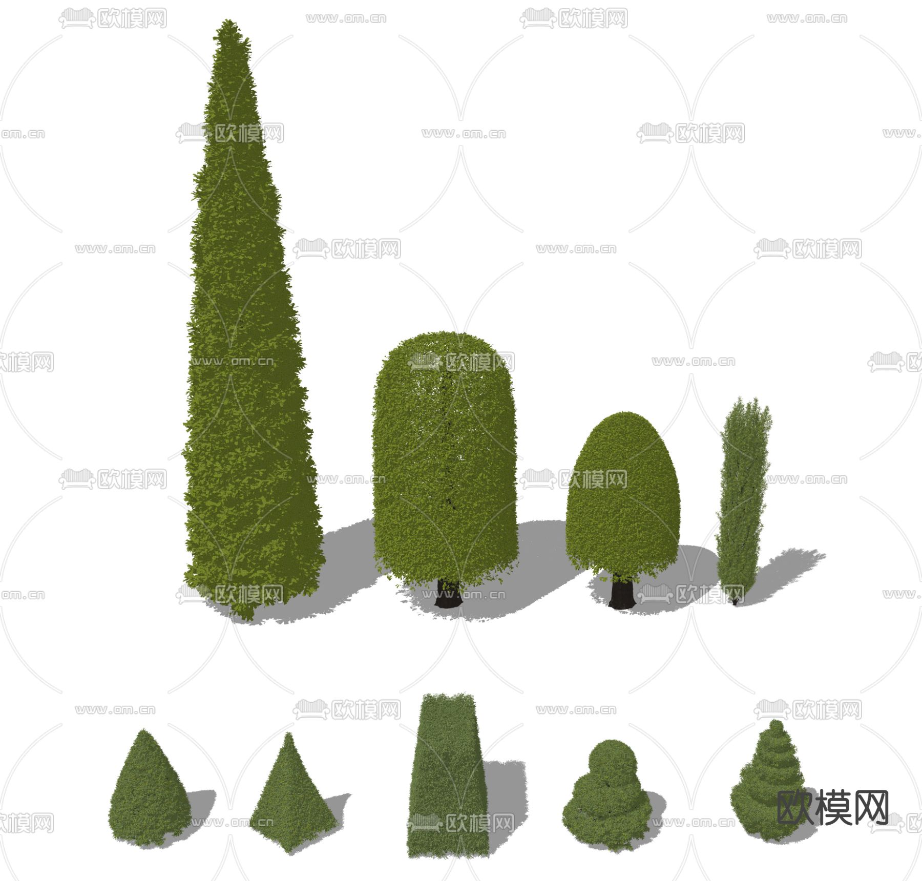 灌木绿篱su模型